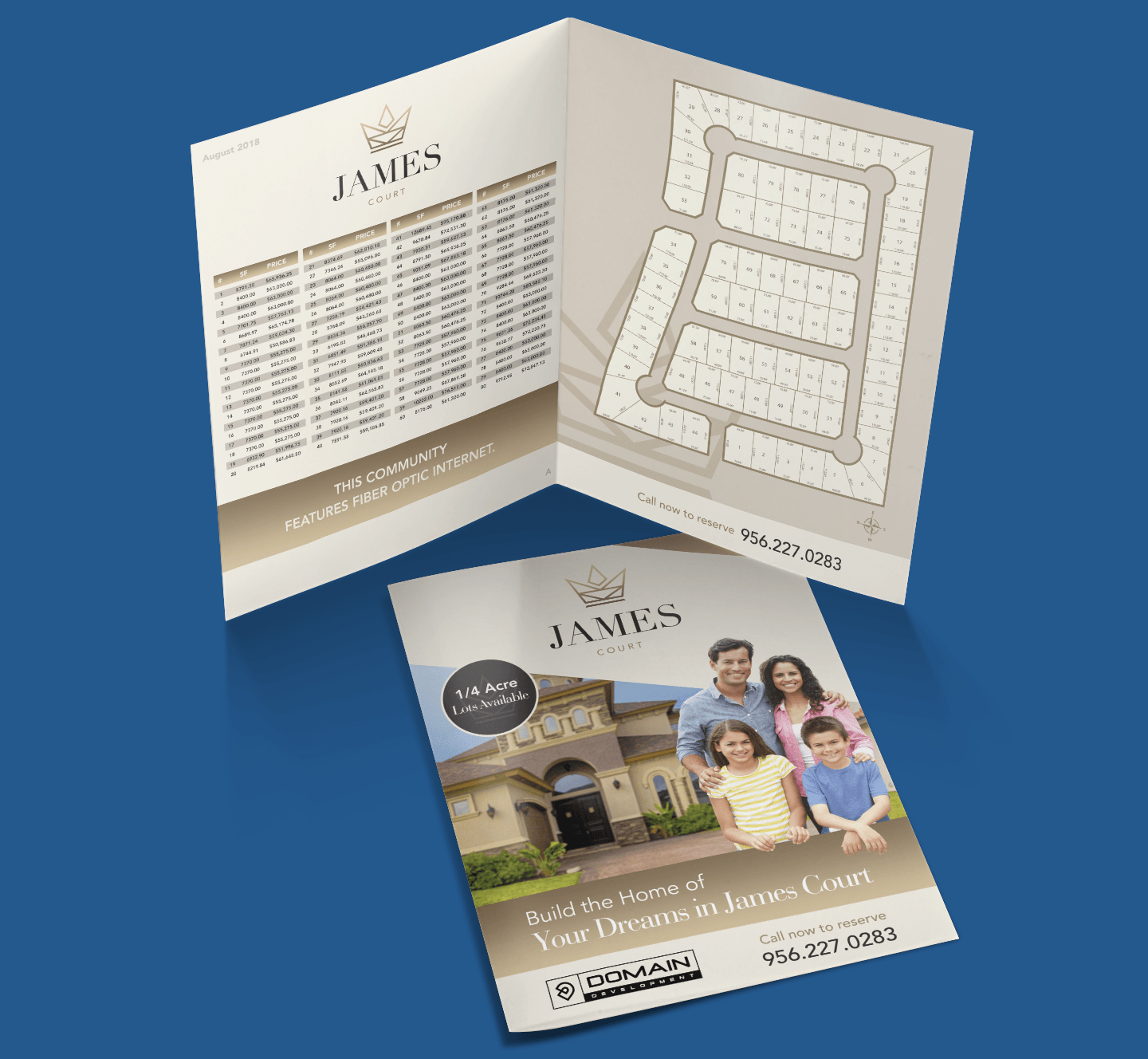 Domain Development - Print