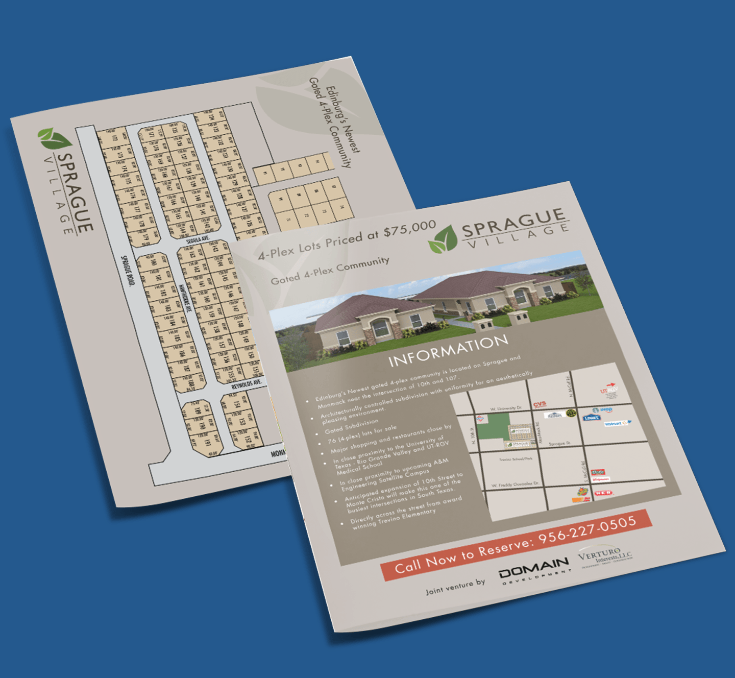 Domain Development - Print