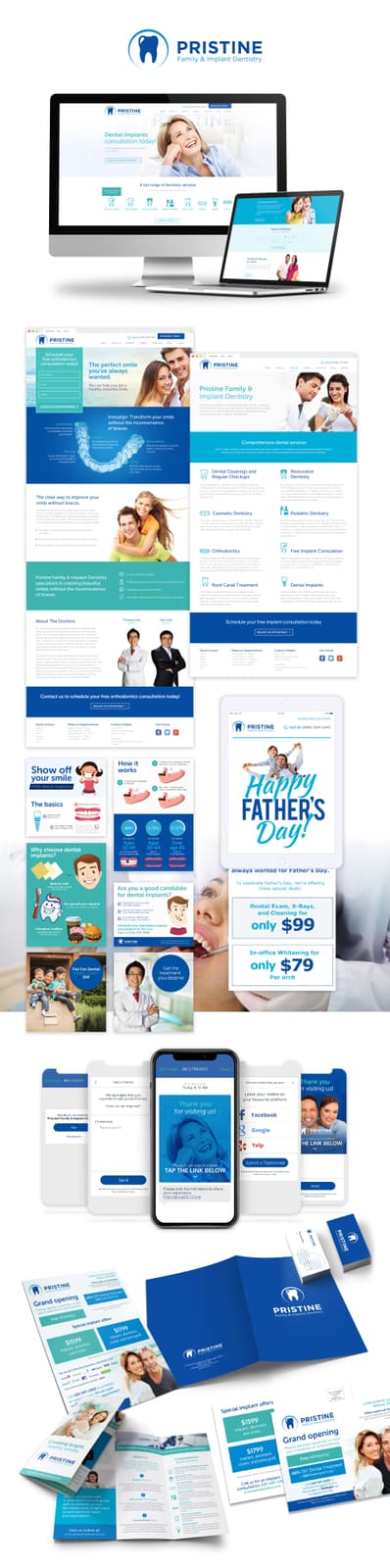 Pristine - Full project showcase